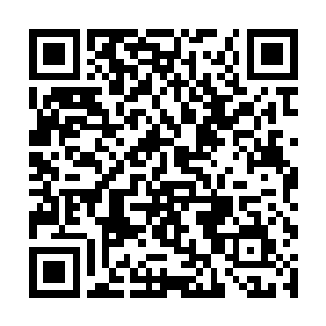估计你也是担心那名神秘强者和木云会有什么牵连吧二维码生成