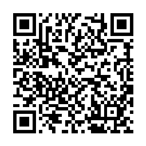 估计便会明白苏檀儿对他那诗词根本没什么仰慕的二维码生成