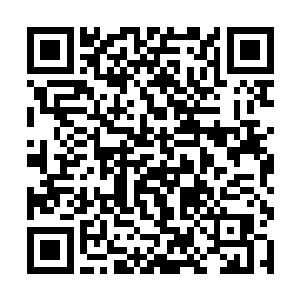 估计可以和刚刚突破的一阶甚至是二阶魔法师相比了二维码生成