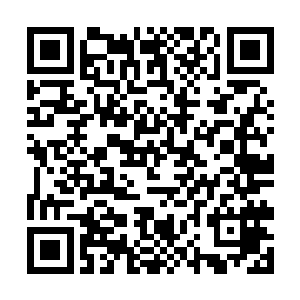 估计得有好一段时间才能体会这震天辰星掌的威力了二维码生成