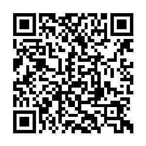 估计是一直在寻找着溜走的机会……只是不知道二维码生成