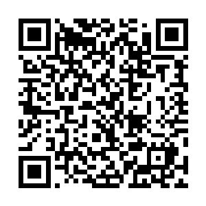 估计是夏云杰和秦岚两人的脾性对叶海博和李红梅的胃口二维码生成