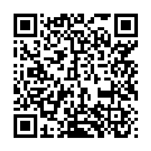 估计树上的叶子都被梁佳佳今晚的叹息给叹息到地上了二维码生成