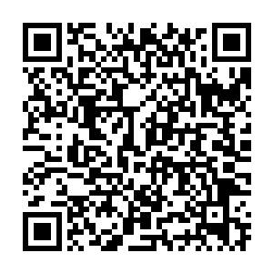 估计此时在里面那些仙阵师和仙符师正在努力研究这个扭曲的空间吧二维码生成