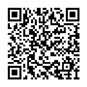 估计现在他的胳膊已经被反震的力道给弄断掉了二维码生成