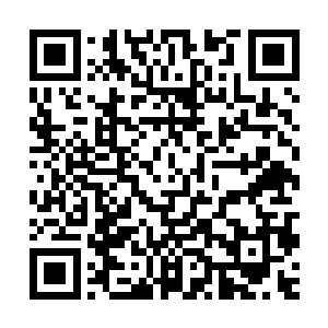 估计用不了多久就能穿越群蛇峡谷和这金河沙地之间的这段距离二维码生成