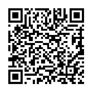 估计这个家伙现在也不会脚踏实地老老实实为他所用二维码生成