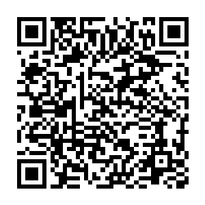 估计这货作为一个纨绔官二代从小到大应该都不曾受过这么多奚落耍弄二维码生成