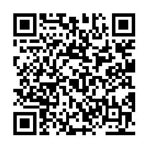 伴随着一股无与伦比的天地灵气也从光柱之中散发出来二维码生成