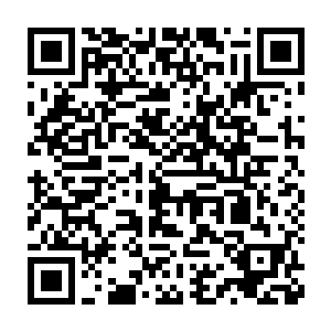 伴随着一股无比恐怖的强大的狂暴的气息也瞬间从识海之中散发出来二维码生成