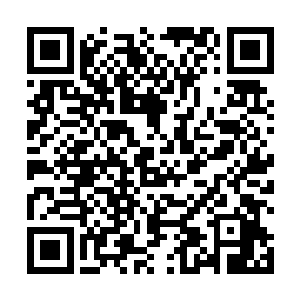 伴随着王磊的惨叫声与精钢剑落下碰撞地面的铿锵之声二维码生成