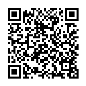 伸手抚摸上脖子上面挂着的一块白玉雕刻着古怪样式的玉佩二维码生成