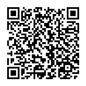 似乎不介意它你肚子里面是不是还可以往里面塞东西了……原本秦方还有点担心二维码生成