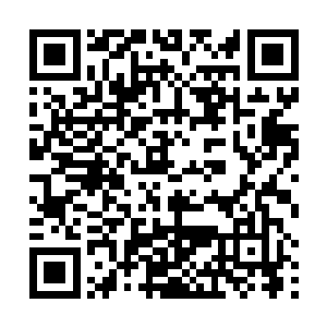似乎也没有谁有十足的把握可以击破那个乌龟壳的……二维码生成