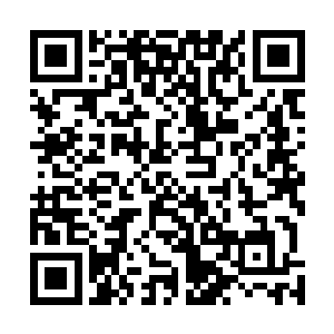 似乎他也能切身地感受到他们这一博之下的心血撕裂之痛二维码生成