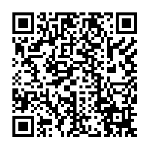 似乎十分不满意一个后期的修士和一个中期的修士竟敢与自己为敌二维码生成