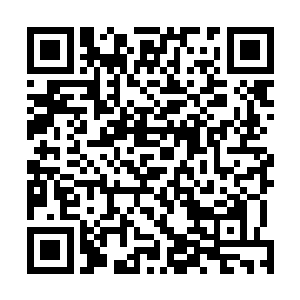 似乎只有想方设法的带领他们度过这最终末日一般的浩劫二维码生成