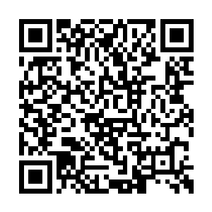 似乎可以切断黑森林神秘力量对原生种族的加持二维码生成