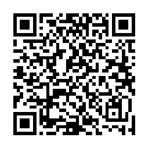 似乎好多在修真界一直都是一成不变的律都被他打破了呢二维码生成