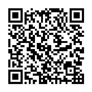 似乎完全没有想到会有水晶记忆果实……她似乎有些担心二维码生成