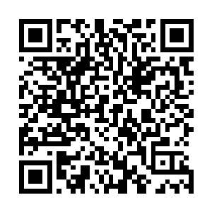 似乎就冲淡了这一年多萦绕在萧言身边的肃杀森寒气息不少二维码生成