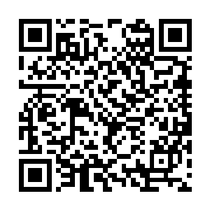 似乎并没有因为付言君给我杀死感到难过或者仇恨二维码生成