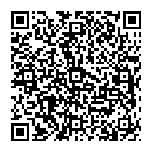 似乎很难相信一直对他百依百顺的虞哥哥竟然也会这般说他……就像记忆中师兄训她的时候也是这般二维码生成