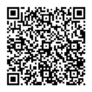 似乎是想到了他们当初为了脱颖而出踏入仙王境界所付出的努力和同代天骄的竞争二维码生成