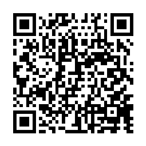 似乎是注意到了漂浮在半空中的黑鼎和墨绿色的莲花二维码生成