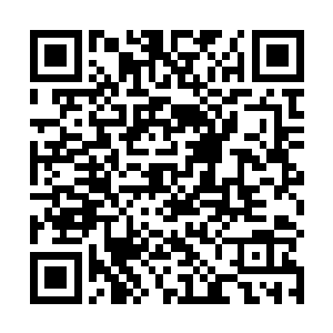 似乎正是兰斯率领夜之王等强大存在征战外位面的时刻二维码生成