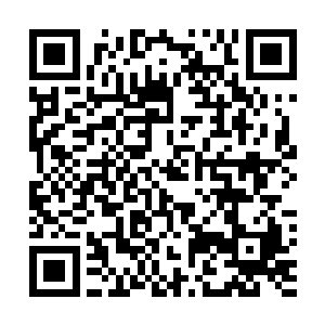 似乎没有因为自己是皇帝大总管而对她试探或者谨慎言语二维码生成