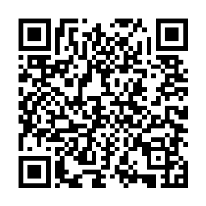 似乎秦方是打算跟来自于美国的瑞德制药一起合理开发二维码生成