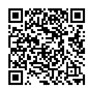 似乎还没有看到其他任何人会当着自己和陆为民开玩笑二维码生成
