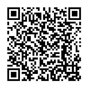 但……我更喜欢自己小世界的生灵……想要跟寻常神仙那样的无情二维码生成