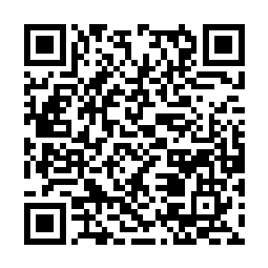 但一方是认认真真掌握了更多信息的私人精英律师二维码生成