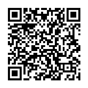 但一股抗拒委屈之意却实实在在的传到了刘宇的身上二维码生成