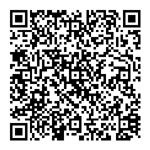 但不论是罗杰还是肯尼斯都没有系统地分析出她在几部影片中到底都有哪些不一样――如果把他们的评论和萨尔维相比二维码生成