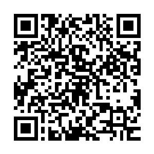 但两人小主宰境圆满的修为却因此被压制到小主宰境入门的层次二维码生成