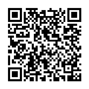 但也仅有这一次机会而已……等他们离开小岛之后二维码生成