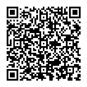 但也是他们唯一可以快速提升修为的方式……不指望可以直接进阶到大宗师级巅峰二维码生成