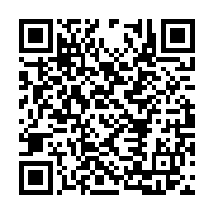 但也绝不容他拿当年的事作为利器刺伤深爱他的人二维码生成