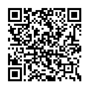 但也被炸死的海蛇死后所散发出的诡异之力牵引二维码生成