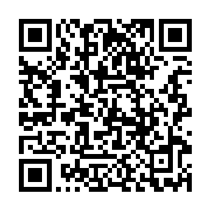 但也非常的反感为了追求力量而残害无辜生灵的做法二维码生成