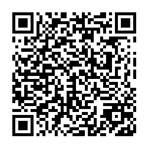 但什么在所有的宗教图腾之中爬行类动物都会占据着一个至关重要的位置呢二维码生成