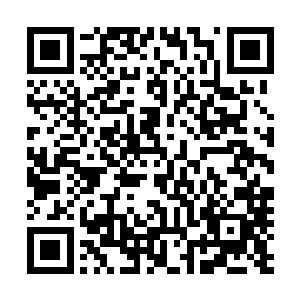 但仅仅就是这十几位地仙强者也已经是一股极其恐怖的实力二维码生成