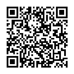 但今年暑期档的一众作品都没有能够复制这样的发展轨迹二维码生成