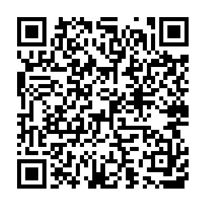 但仍是把那个据说原本才在青州考中解元的年轻人嘴巴打得血肉模糊二维码生成