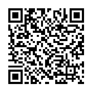 但仍然……没有任何单个npc的力量能与其一争高下二维码生成