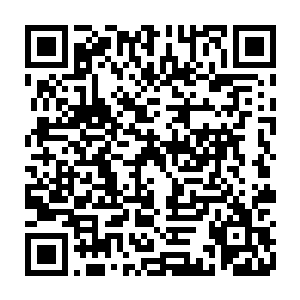 但他不能忍受一个外人……一个从始至终没有把自己当兄弟看的人这样坑害他二维码生成