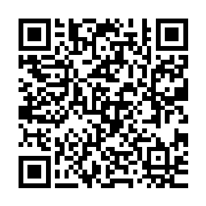 但他也是忍不住代入到梵天的角色中去的……武者都是这个样子二维码生成